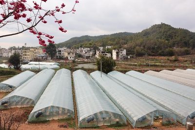 赣州开发区党务公开网 蟠龙镇述职评议强监督，绿色工厂添新彩，省外休闲促交流