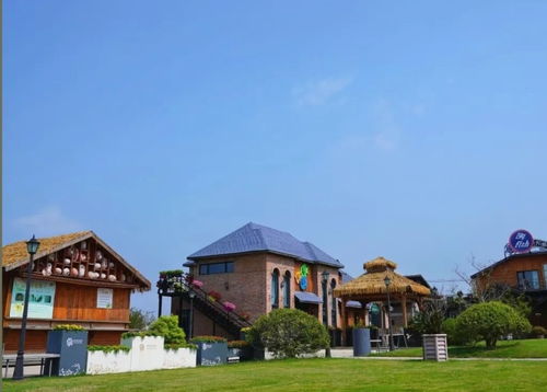 一起追风拾野，上海9条美丽乡村休闲旅游路线全新亮相