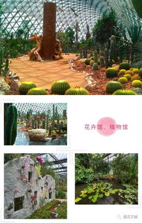 休闲观光农业综合体之农旅模式分享——盘古实操案例